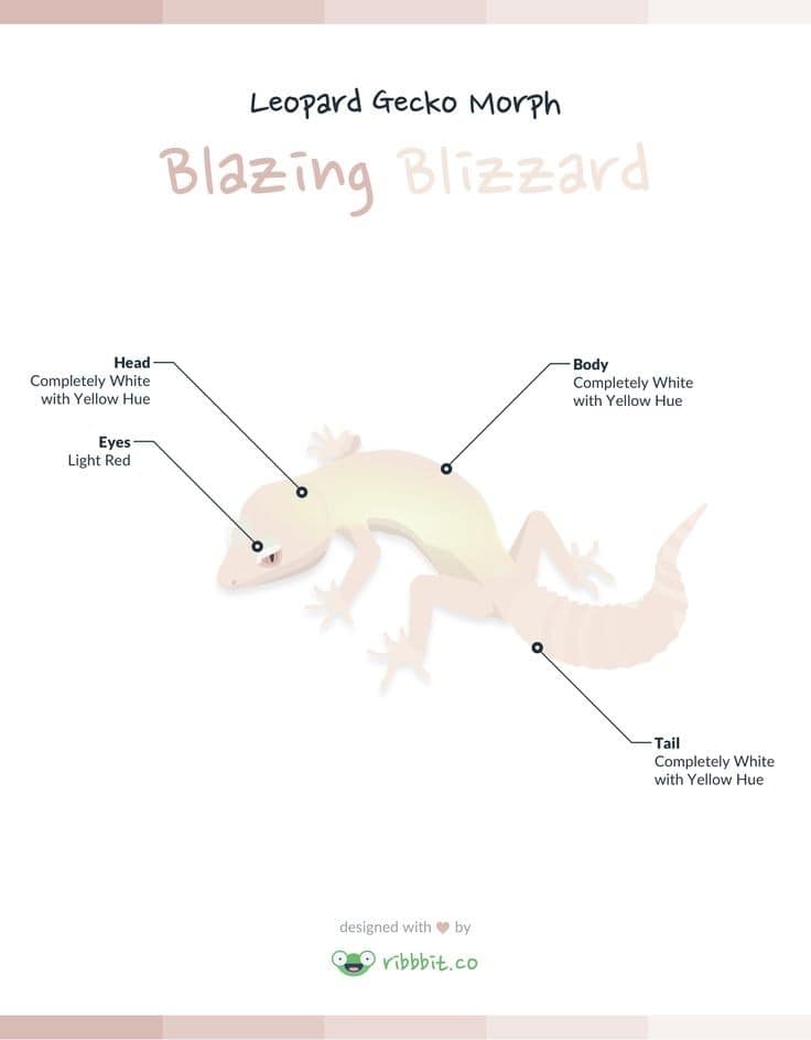 Blazing Blizzard