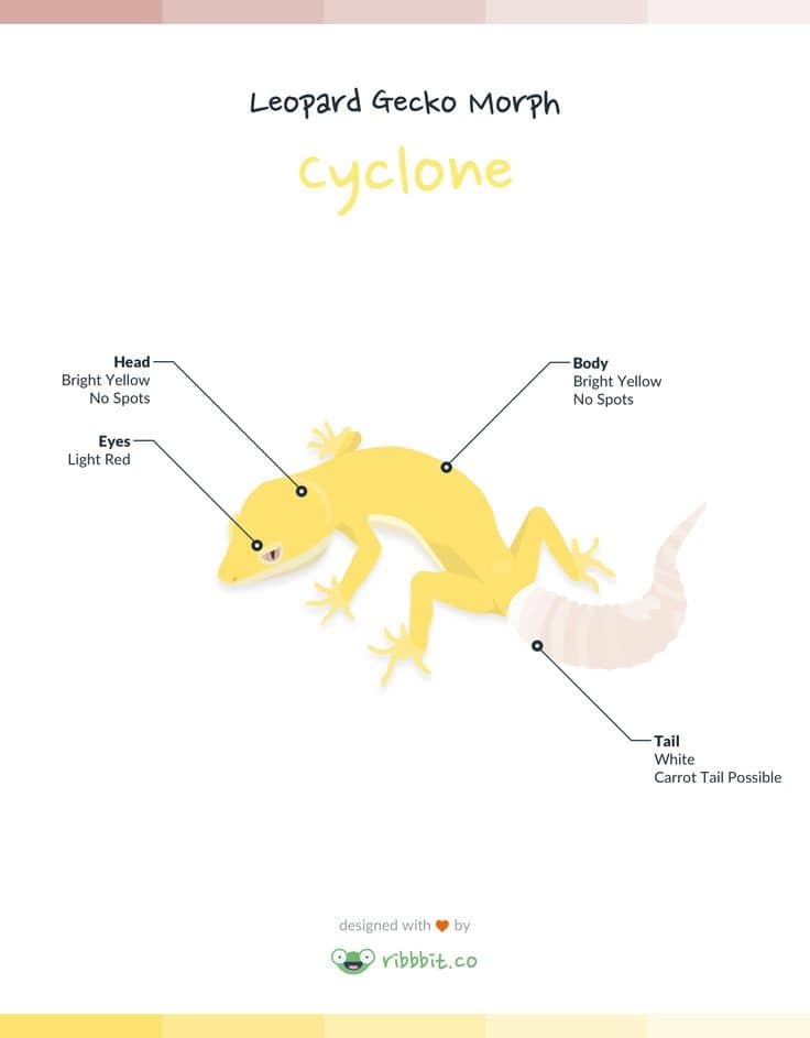 cyclone