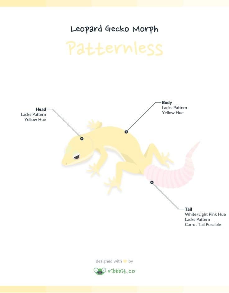 patternless